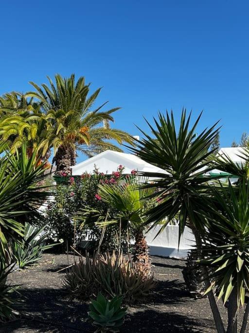 Lovely Casita Jade Playa Blanca Dış mekan fotoğraf