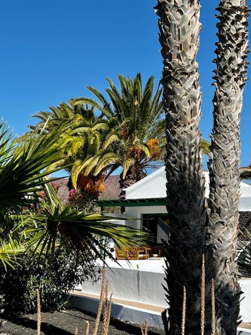 Lovely Casita Jade Playa Blanca Dış mekan fotoğraf
